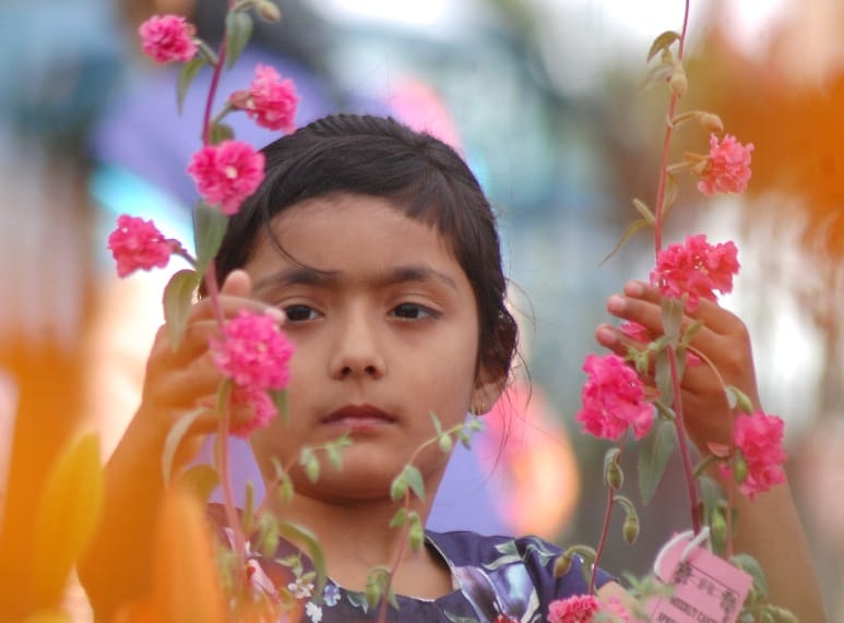 Flowers C Mahkti morning, these photos will touch your heart 