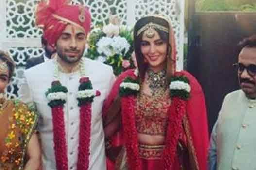 Mandana karimi ties knot with Boyfriend Gaurav