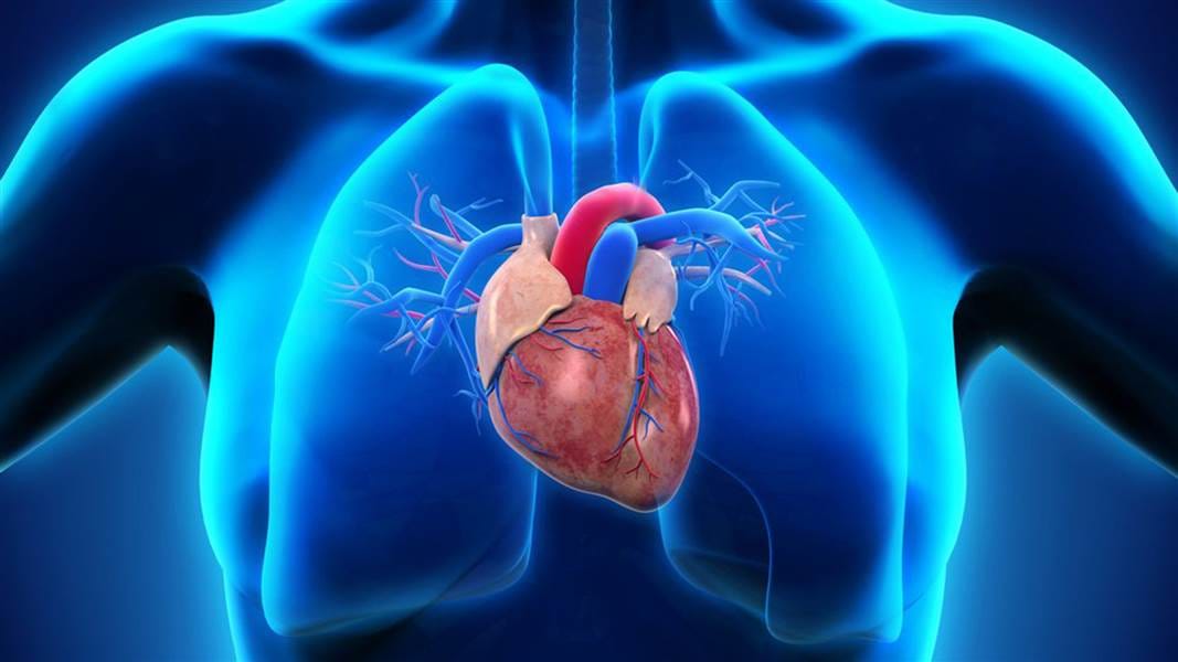 symptoms of heart attack and How to Avoid Heart Attack