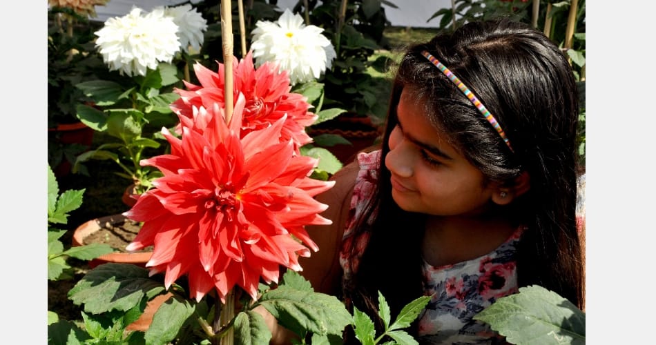Panchkula spring festival 2017, cute pictures of children, city news 