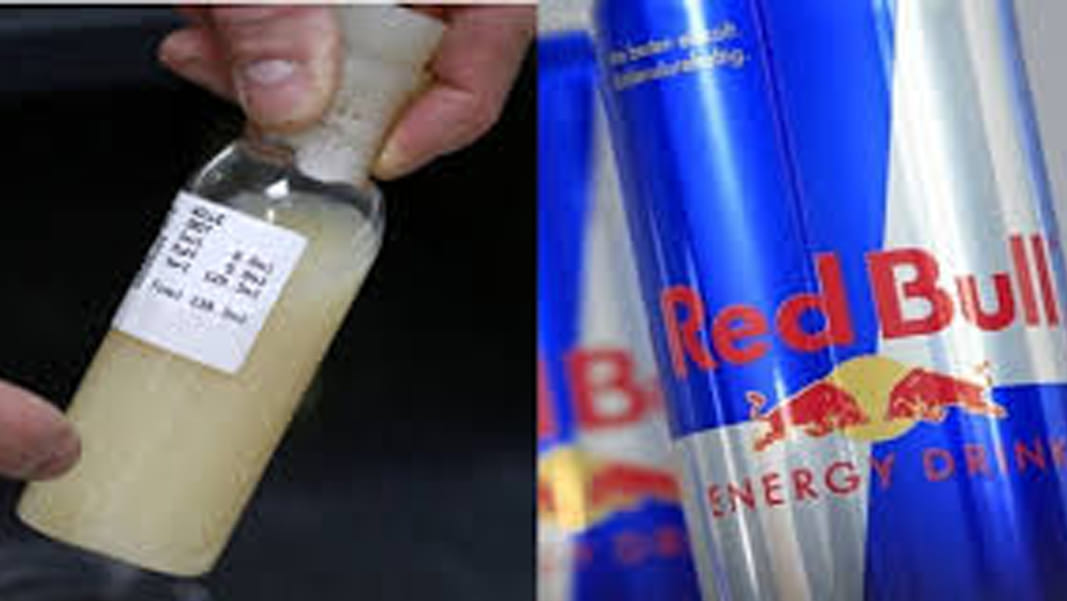 red bull is harmful