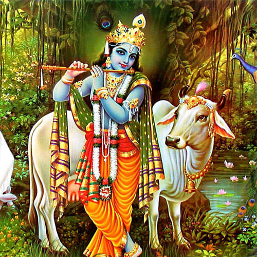 Lit One Diya In Front Of Gods Everyday For Good Fortune
