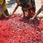 एक चूड़ी कारखाने में काम करती महिलाएं।