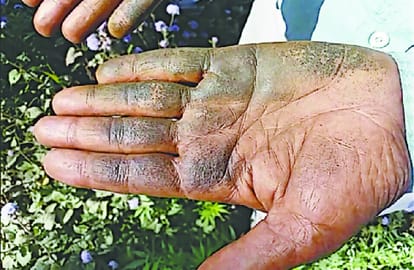 exclusive: holi is coming, sulfa's is being made on wages