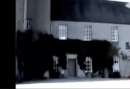 Chilling family snap reveals ghostly figure