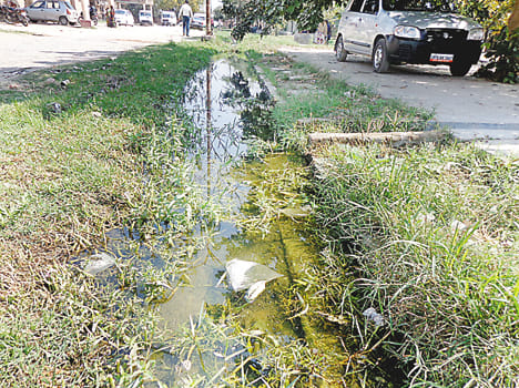 District Hospital: cleaning, floating drains, not months