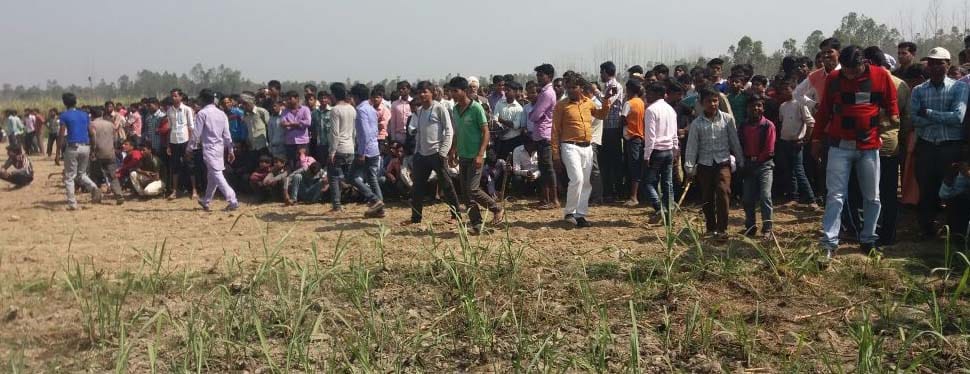 Four elephants got canning in sugarcane fields, did not get tigers