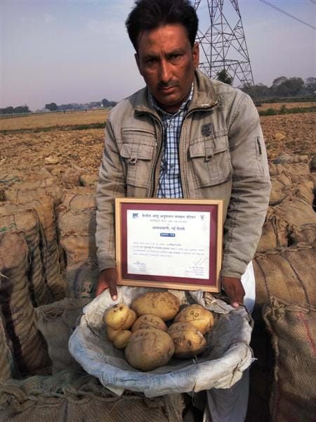 Potatoes weighing two kg from the farm