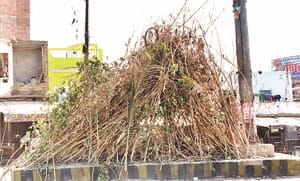 holika dahan time