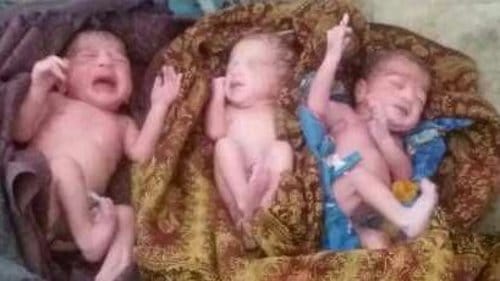 The woman gave birth to triplets1