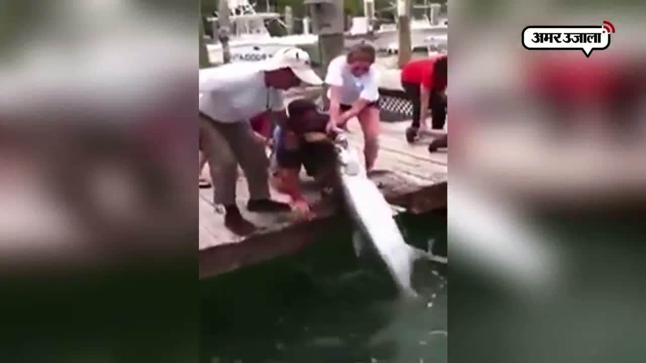 वायरल वीडियो