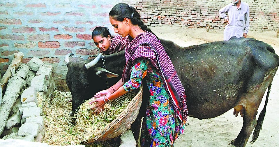International Women's Day, hail to brave daughter of india satveer kaur of bathinda