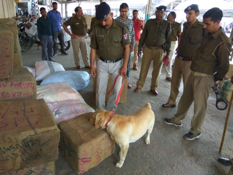 alert in mathura after lucknow attack