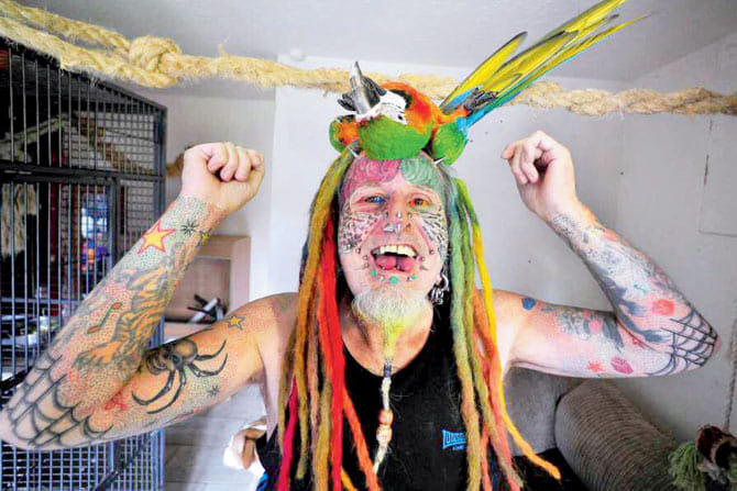 the story of parrot man.