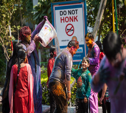 make herbal holi colours at home 
