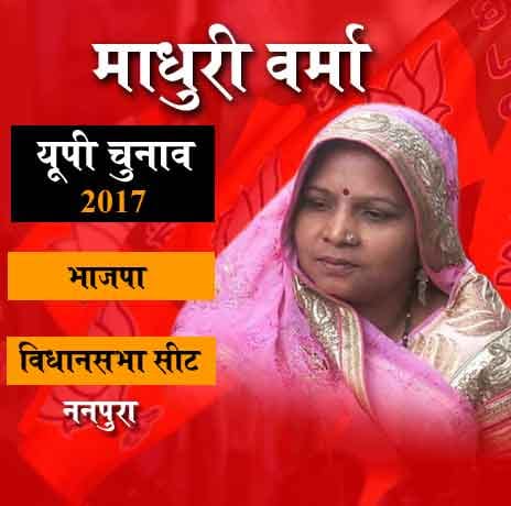 These thirteen popular bhabhij's fighting in up election 2017