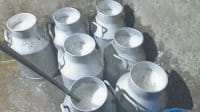 jind, ice factory, milk,    harayana