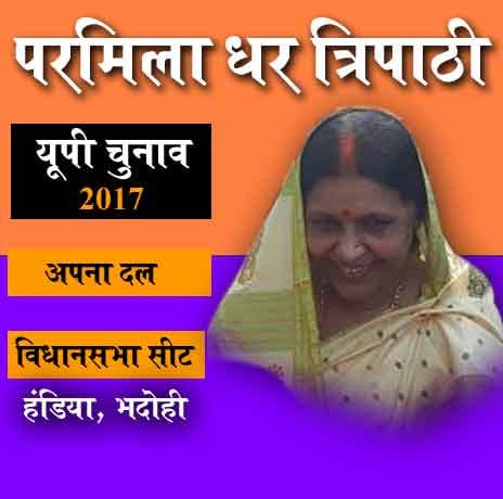 These thirteen popular bhabhij's fighting in up election 2017
