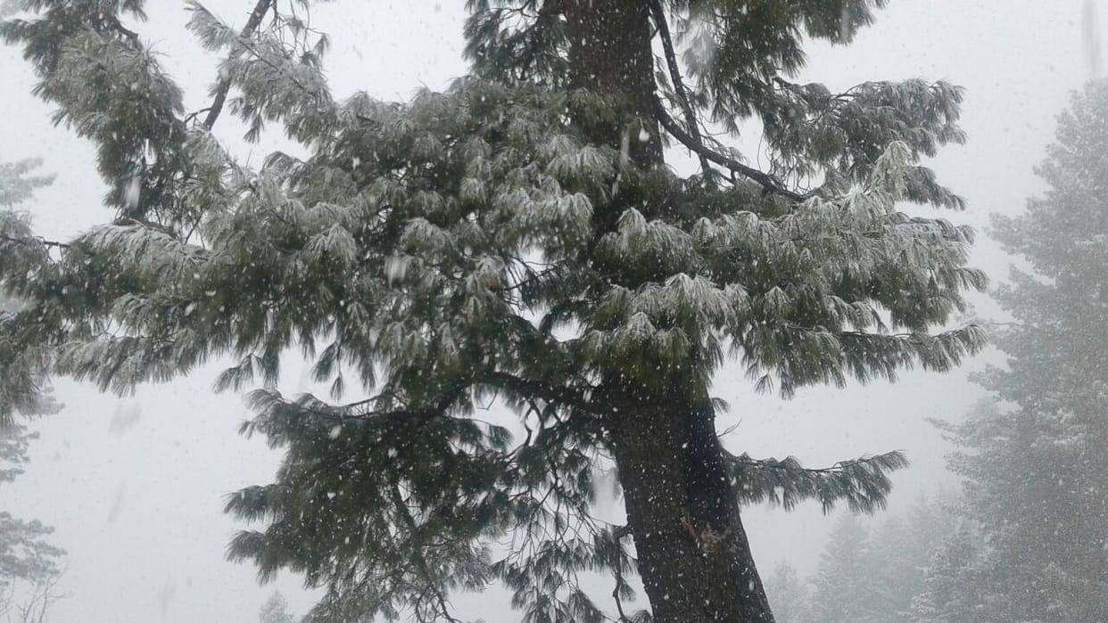 Snow on the mountains