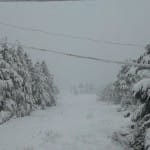 kashmir snowfall