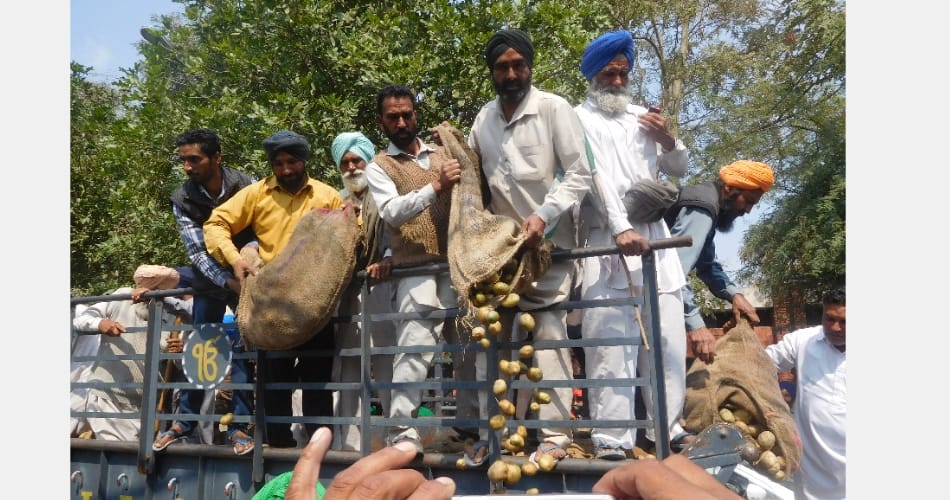Vegetable king potato throws on road, punjab barnala news