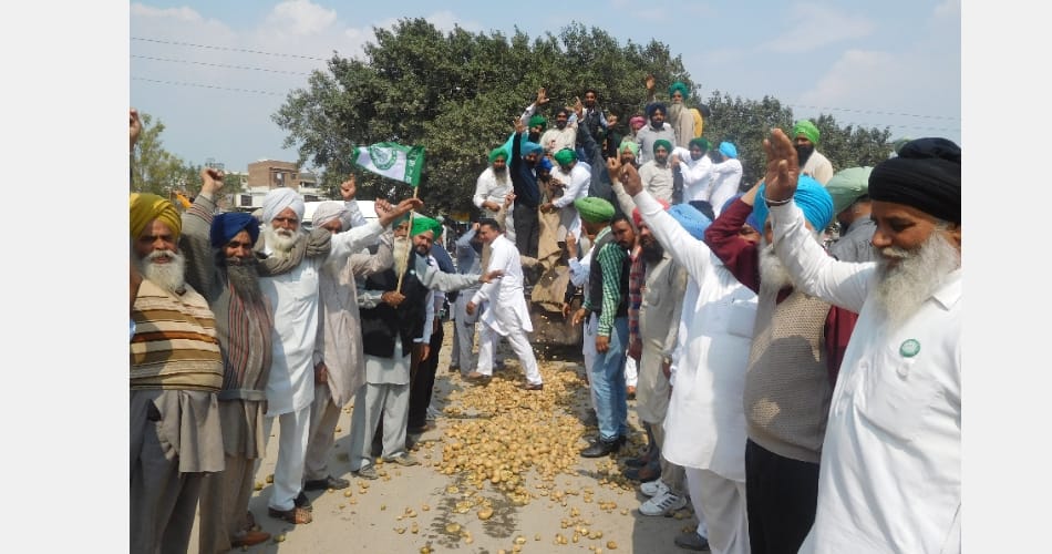 Vegetable king potato throws on road, punjab barnala news