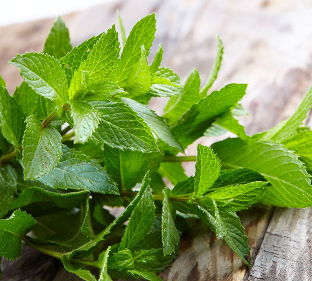 relief from stomach pain immediately
