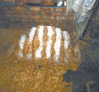 fatehabad, snow fall, farmar unhappy, crop, damage,  harayana