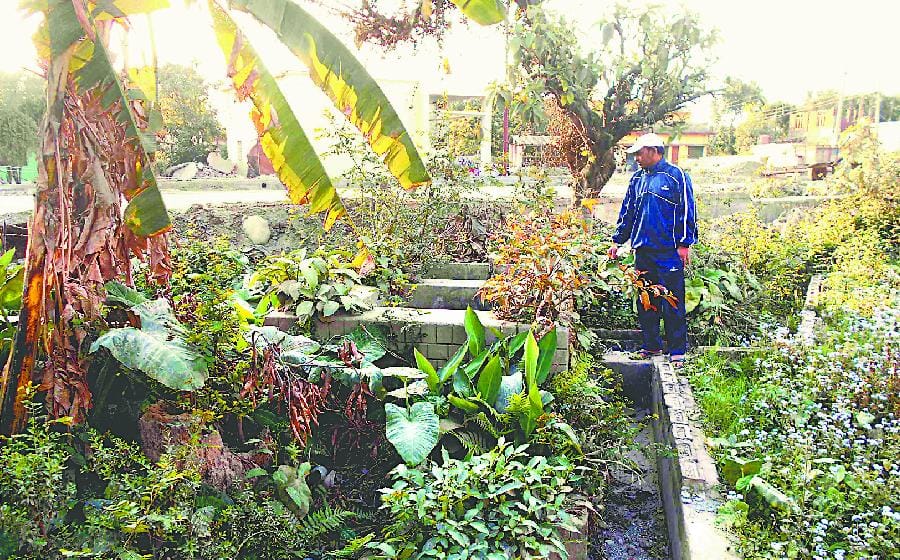 Irrigation system stalled from NS broadcaster in Gyanakheda