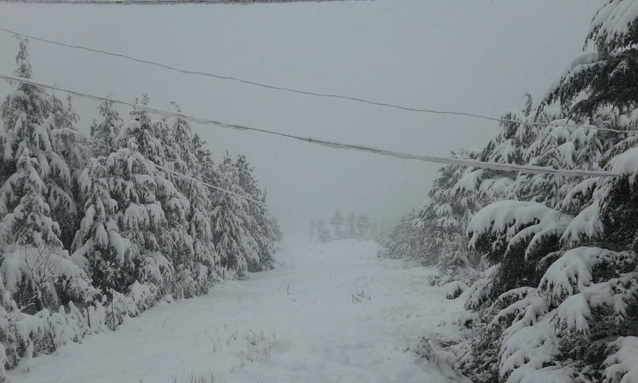 heavy snowfall in jammu kashmir higher reaches