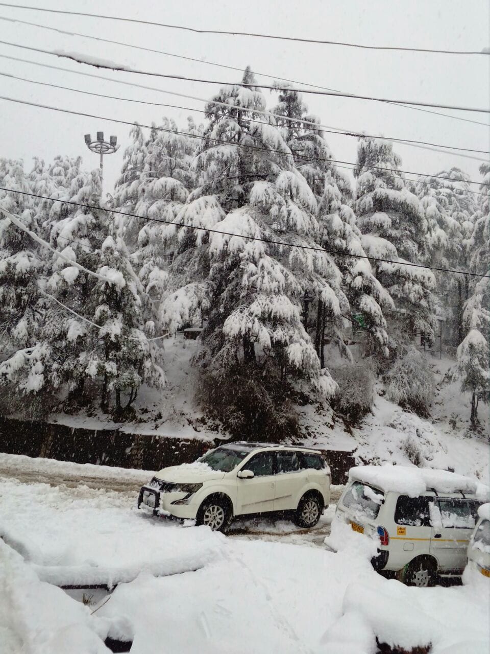 heavy snowfall in jammu kashmir higher reaches