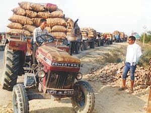 pottato kaushambi coldstore