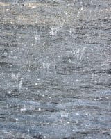 ice, rain, frammer, peeved, karnal