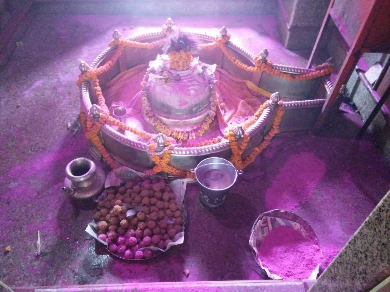 Baba Vishwanath will play holi with devotee to herbal colour
