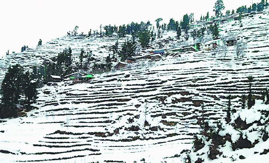 after eighteen year snow fall in march 