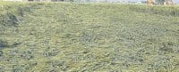 rain, weather, air, weather, kurukshetra