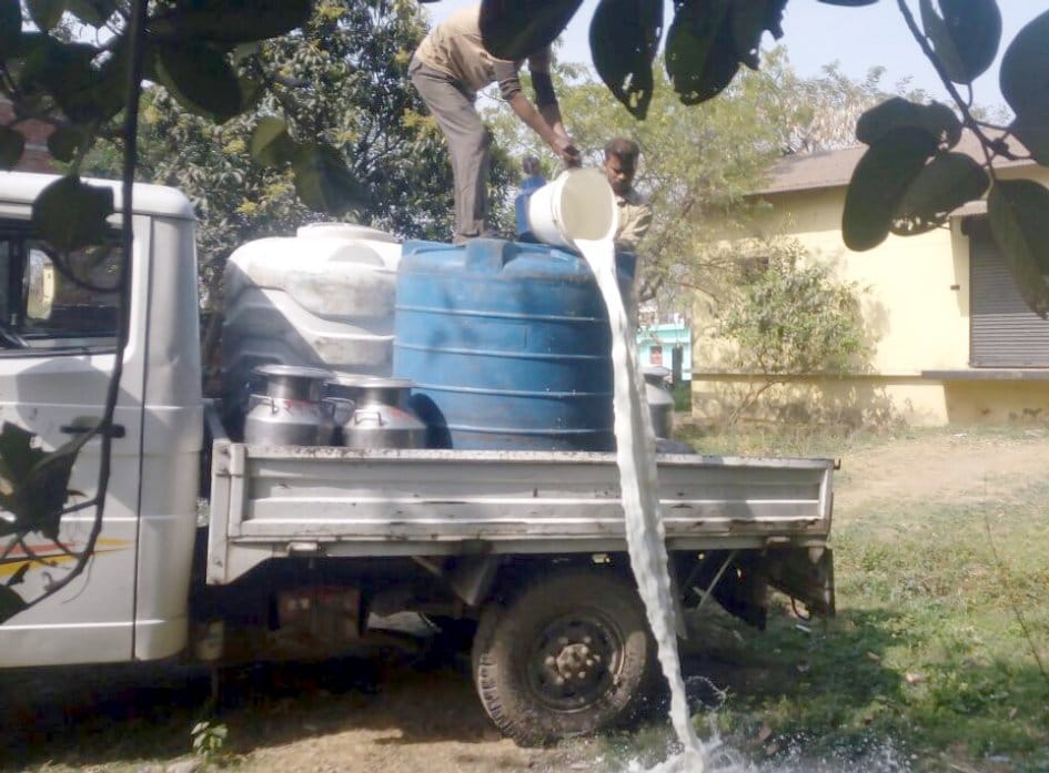 Flies and insects destroyed 550 liters of milk