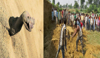 innocent buried alive in the soil 