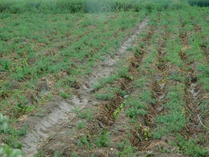  UP govt plan to forgive debt of farmers.