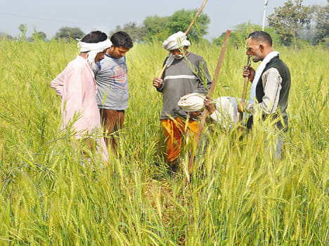 Due to the arrival of bear, villagers feared