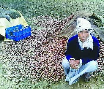 Heavy loss to farmers from rain and hail