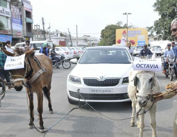 unique protest, ludhiana business man pull 25 lakh car skoda with help of donkeys