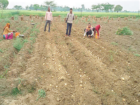 61 thousand farmers have taken up farm loans