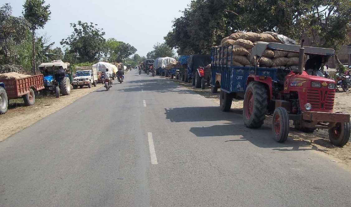 Potato prices fall and farmers suffer huge losses