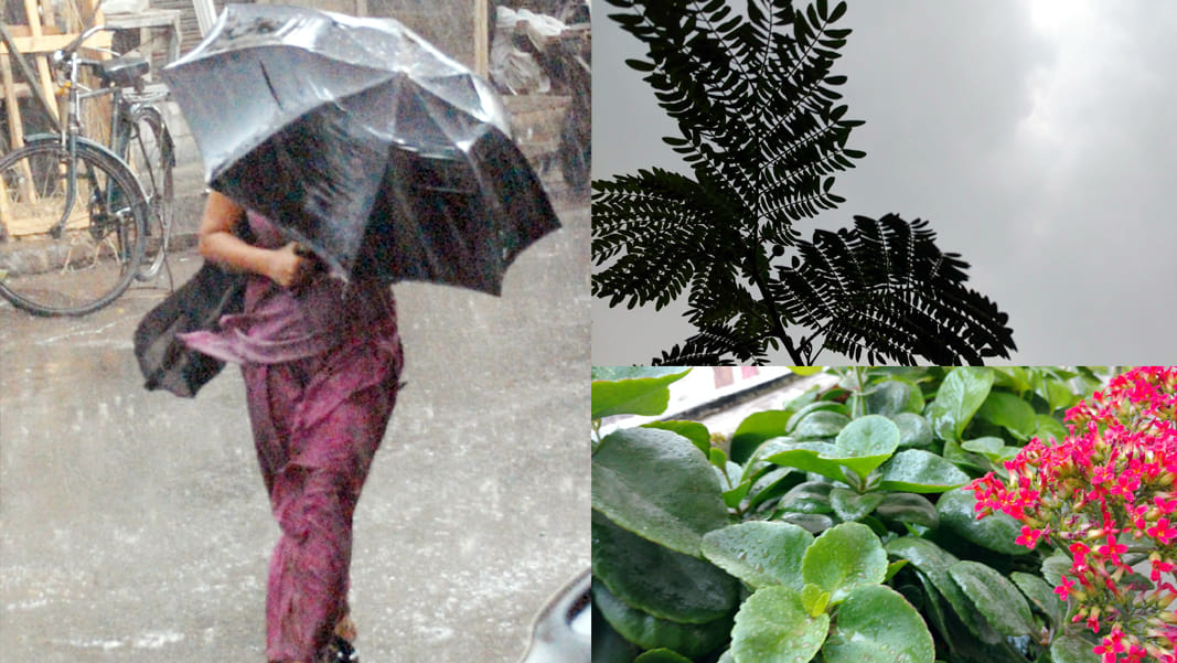 rain and cold wind change season