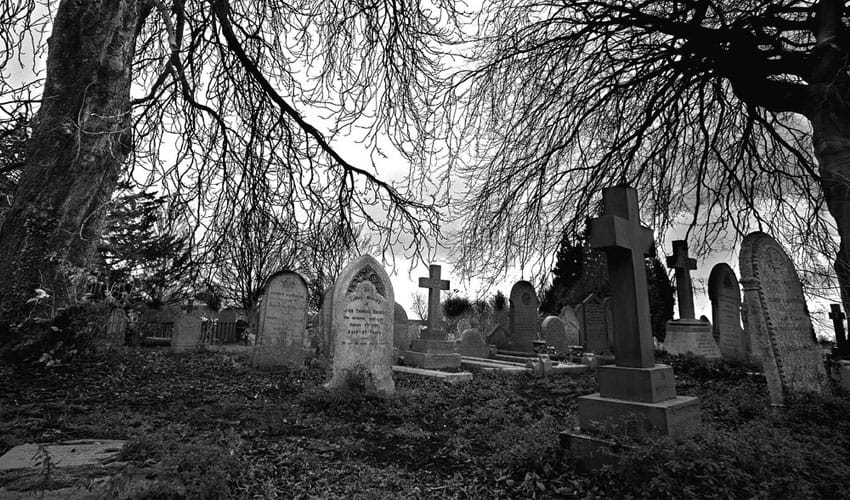 this girl is alive in her graveyard