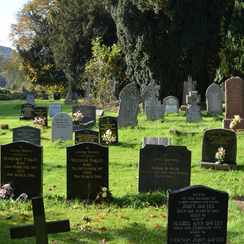 this girl is alive in her graveyard