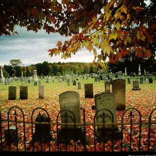 this girl is alive in her graveyard