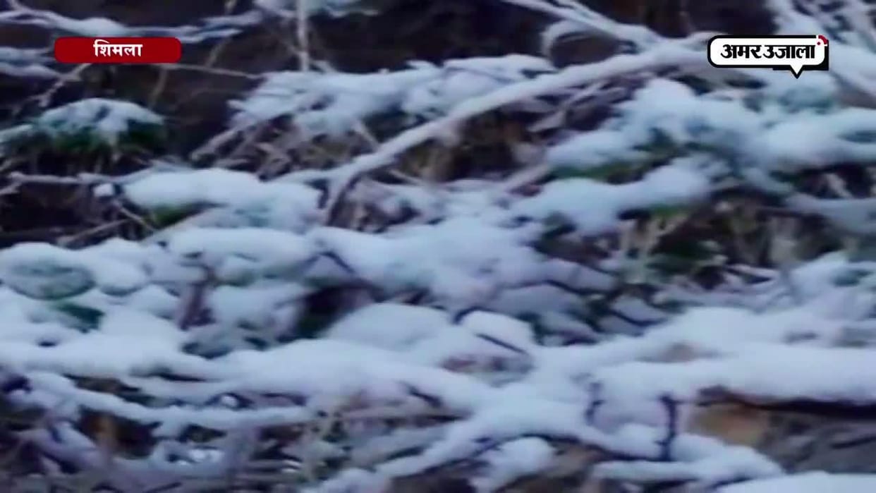 snow