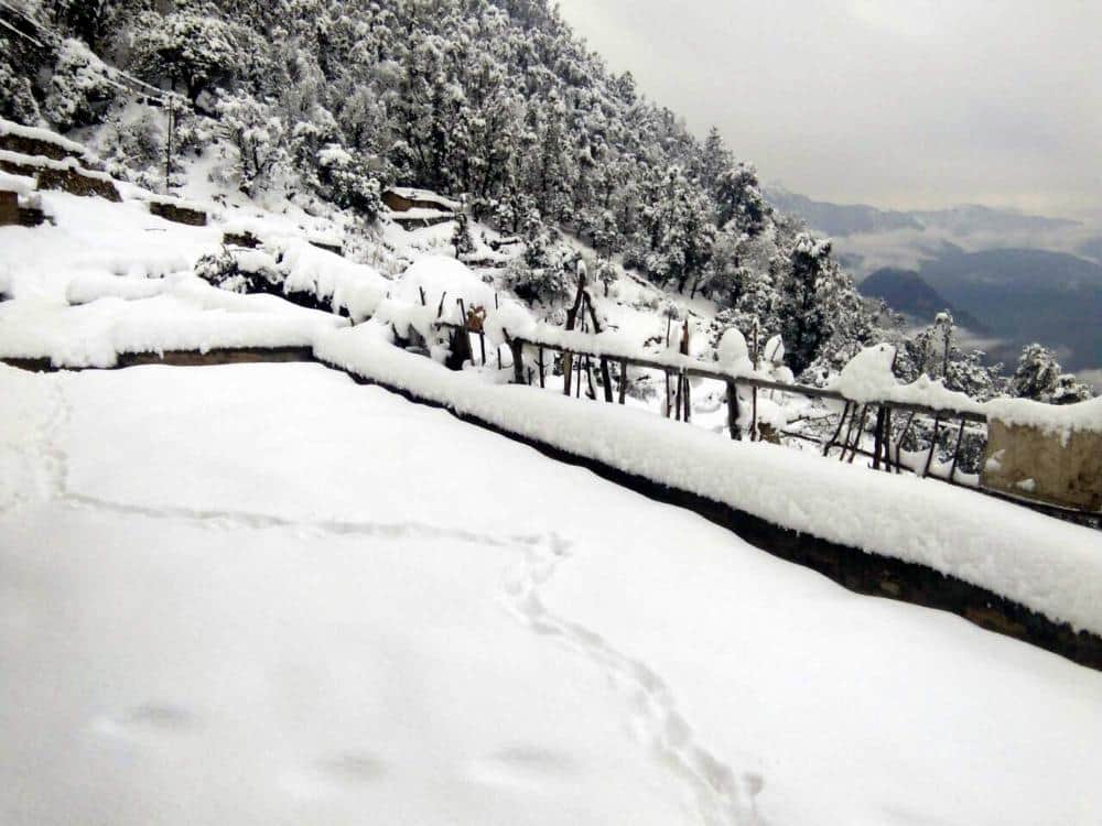 snowfall in many places in uttarakhand